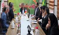تعیین تکلیف کارگاه‌های تولید خوراک دام جنوب کرمان